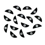 Buy Bulk & Save - Prolong Lash x Flutterstop