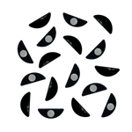 Prolong Lash x Flutterstop